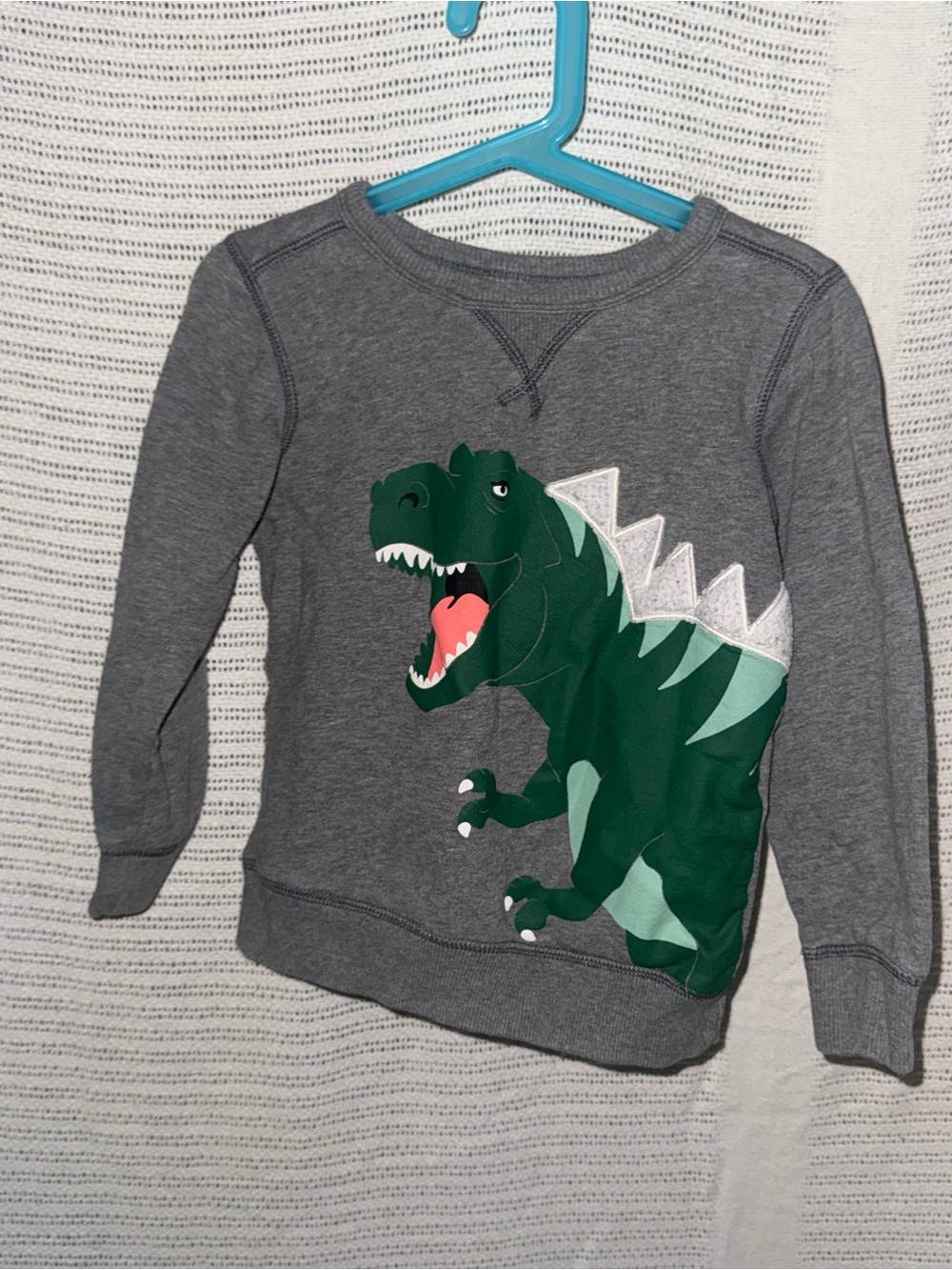 Carter's Gray Sweatshirt with Green Dinosaur Graphic